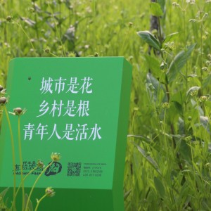 随拍
