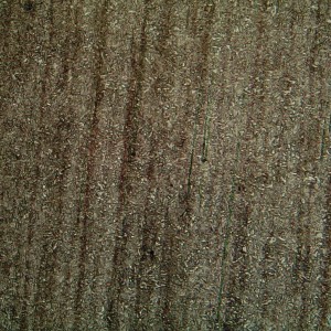 请输入相册名称