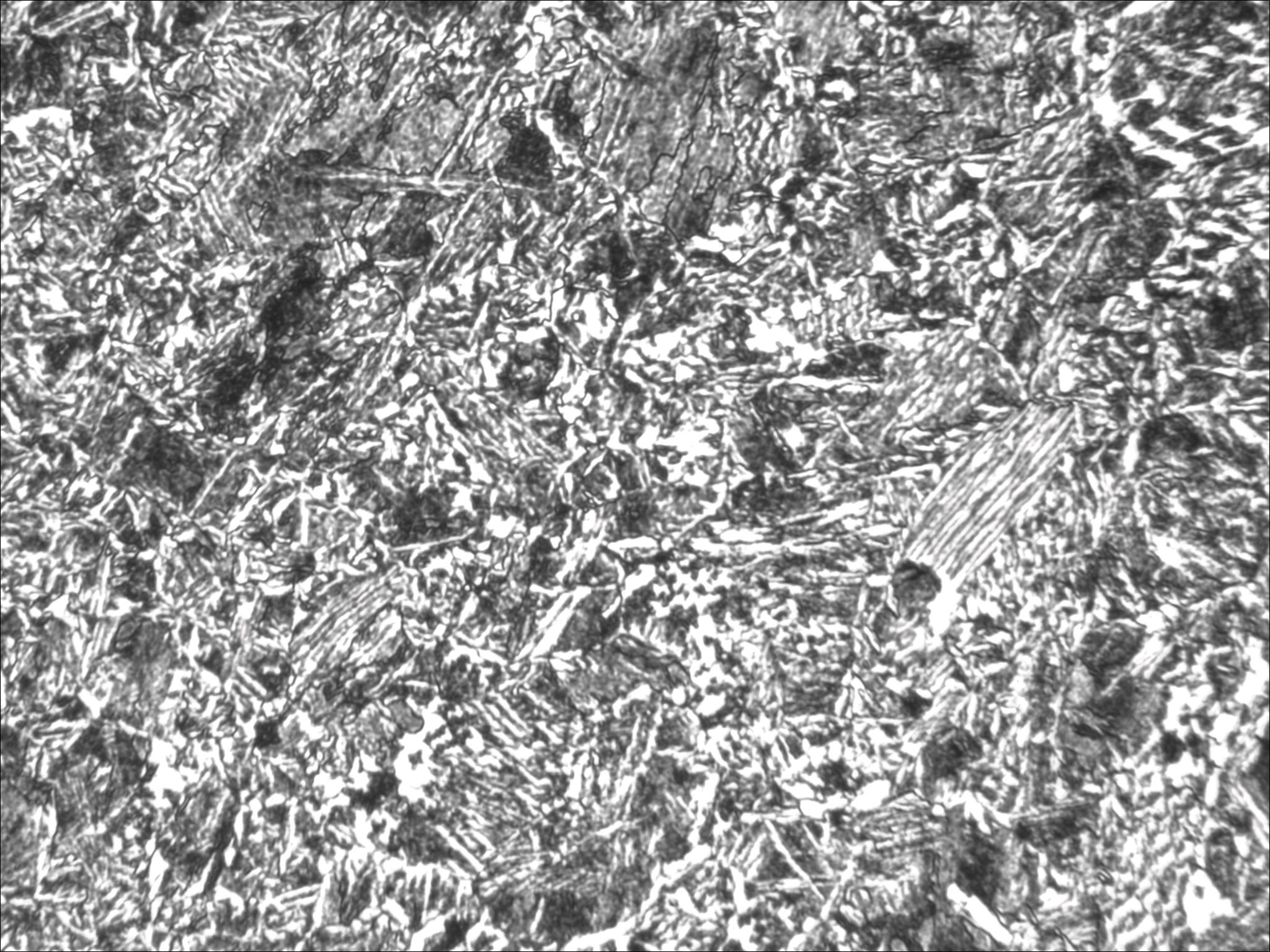 TS_05_31_20_45_00.jpg