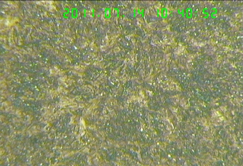 re003.jpg