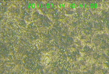 re005.jpg