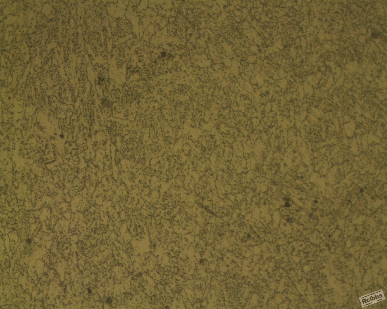 RVS KM-B11027 0624 X-500——11X.jpg