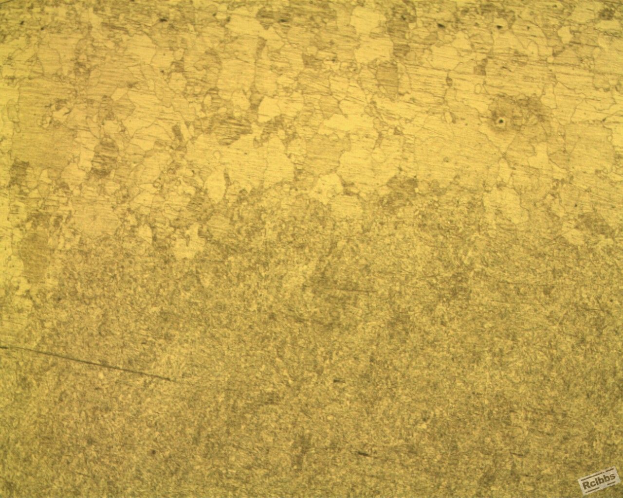 RVS KM-B11027 100X.jpg
