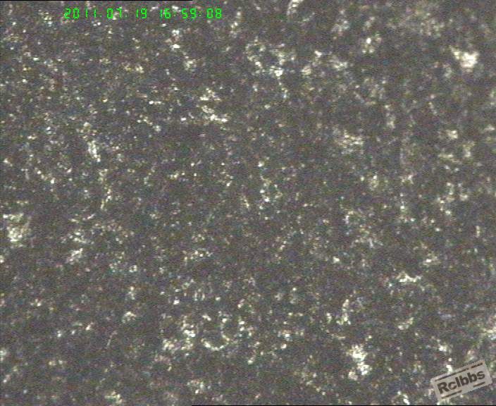 20110719-5.jpg