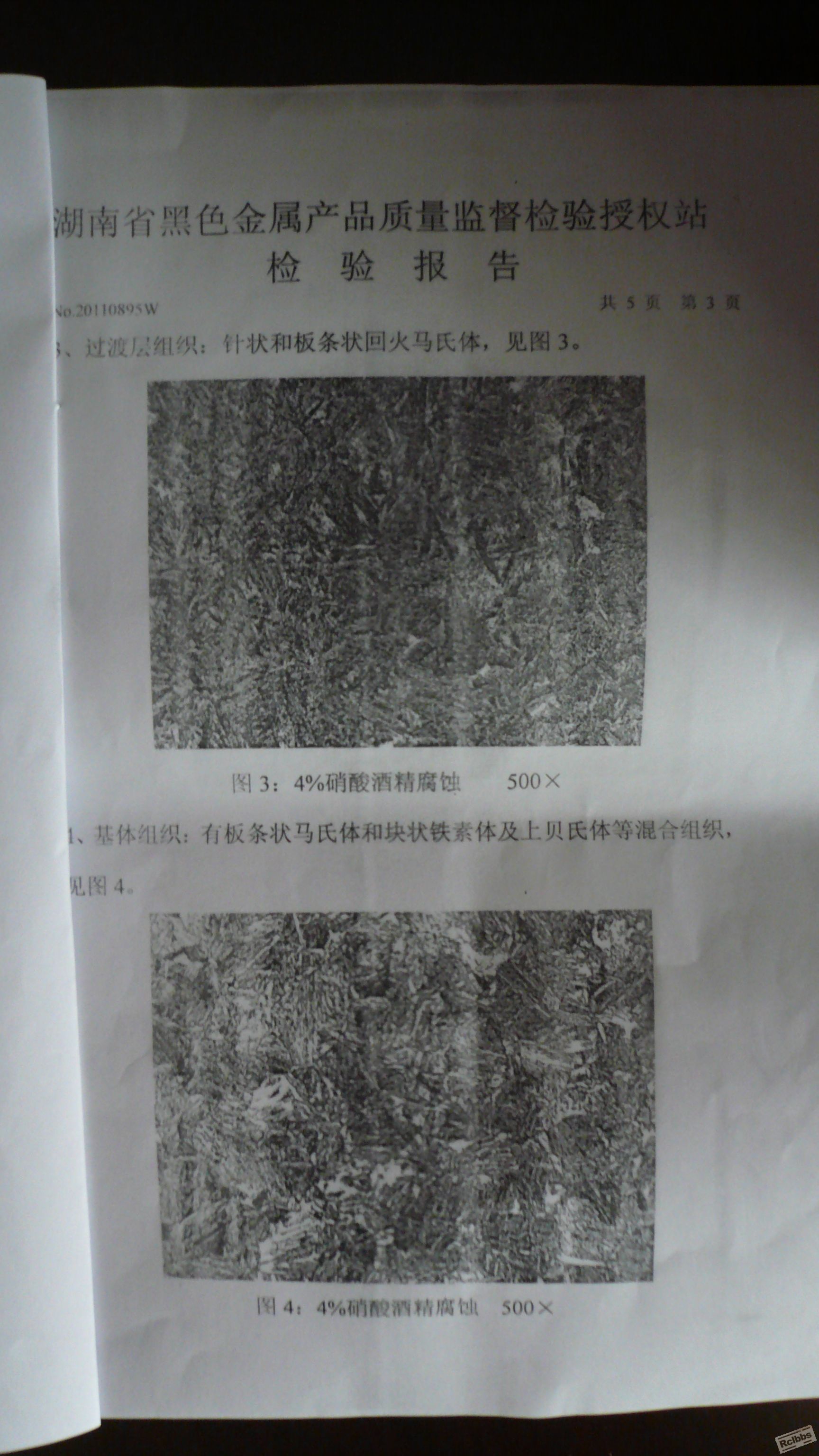 P1170674.JPG