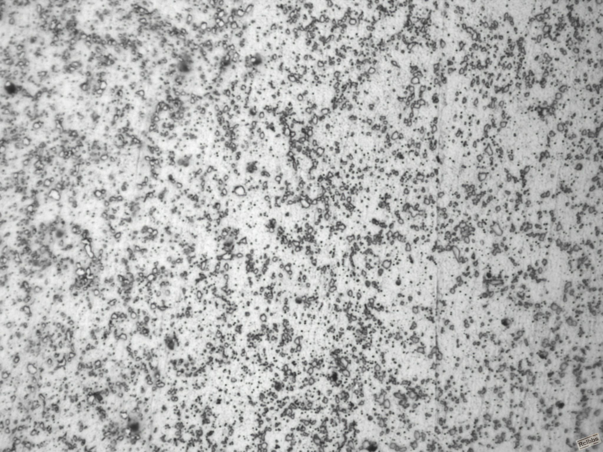 1 1000x .jpg