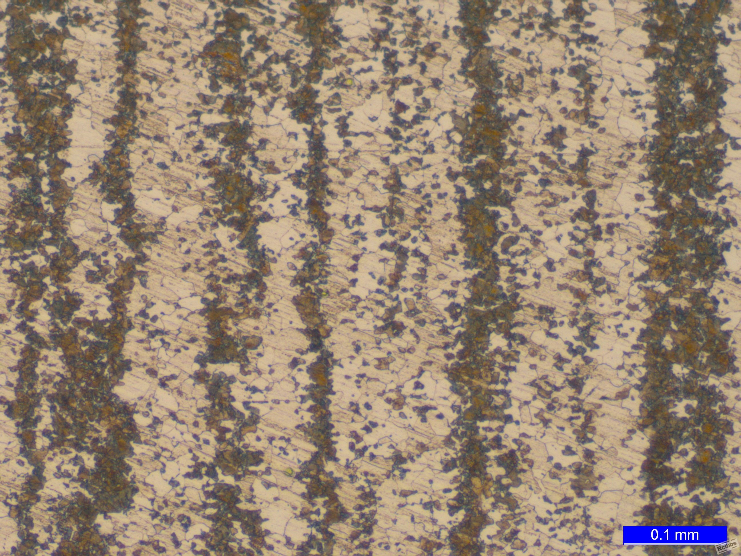 108755_000110.jpg