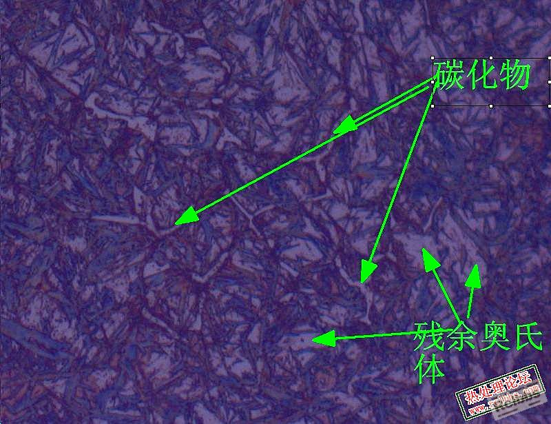 碳化物500X_.jpg