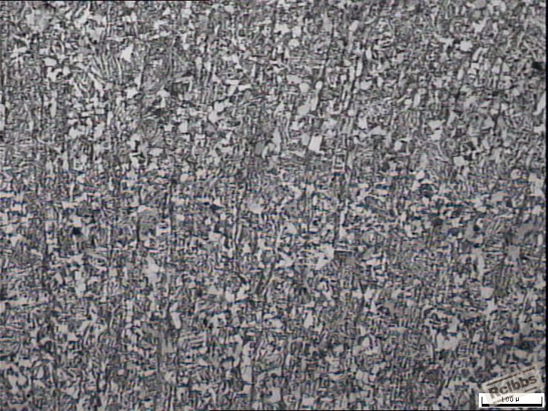 4444.JPG