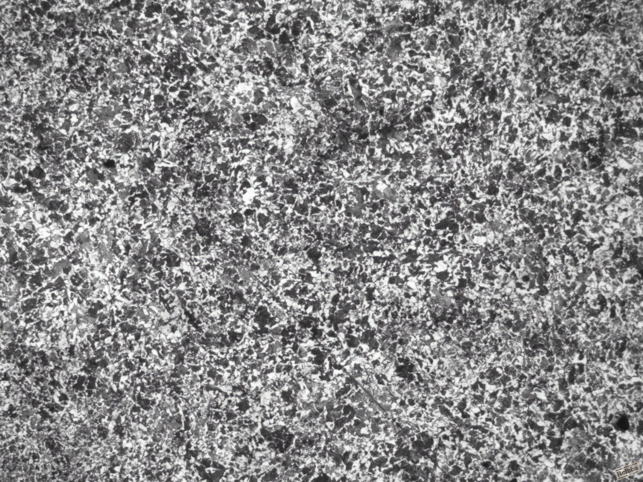 1  100x .jpg