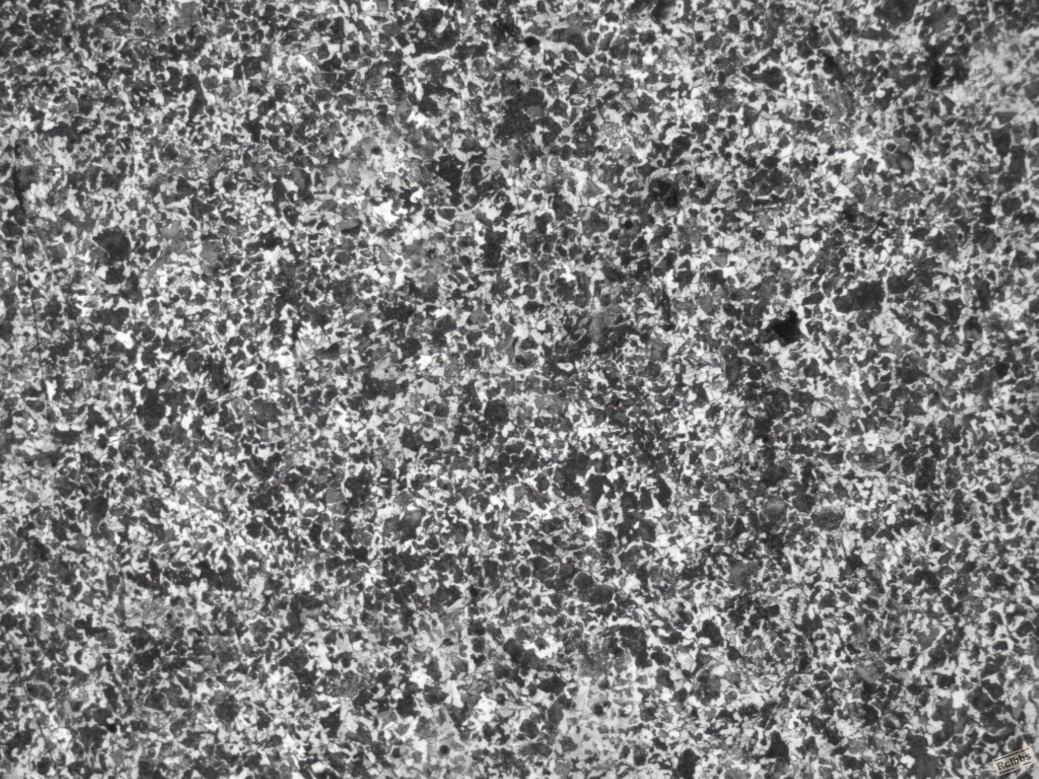 2  100x .jpg