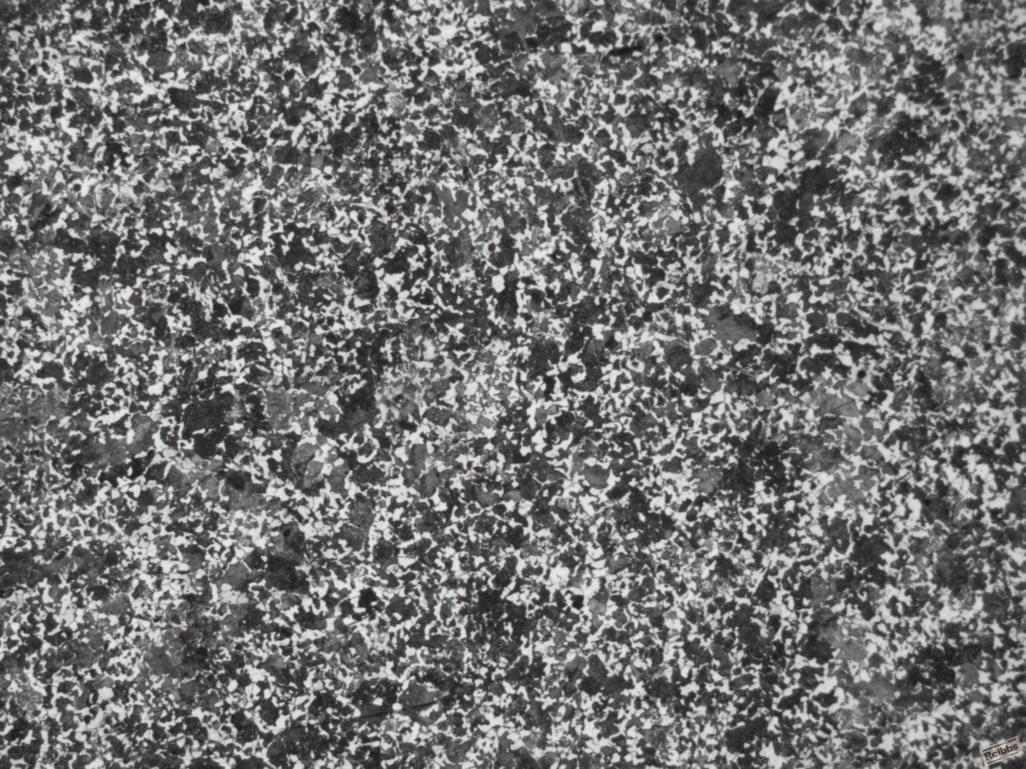 4  100x .jpg