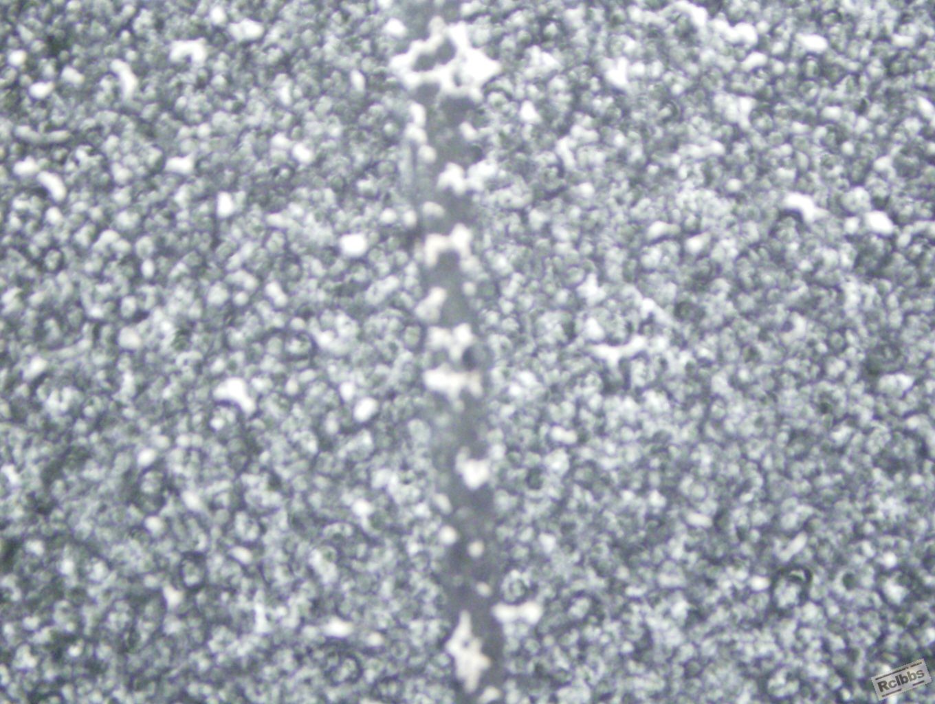 g01.jpg