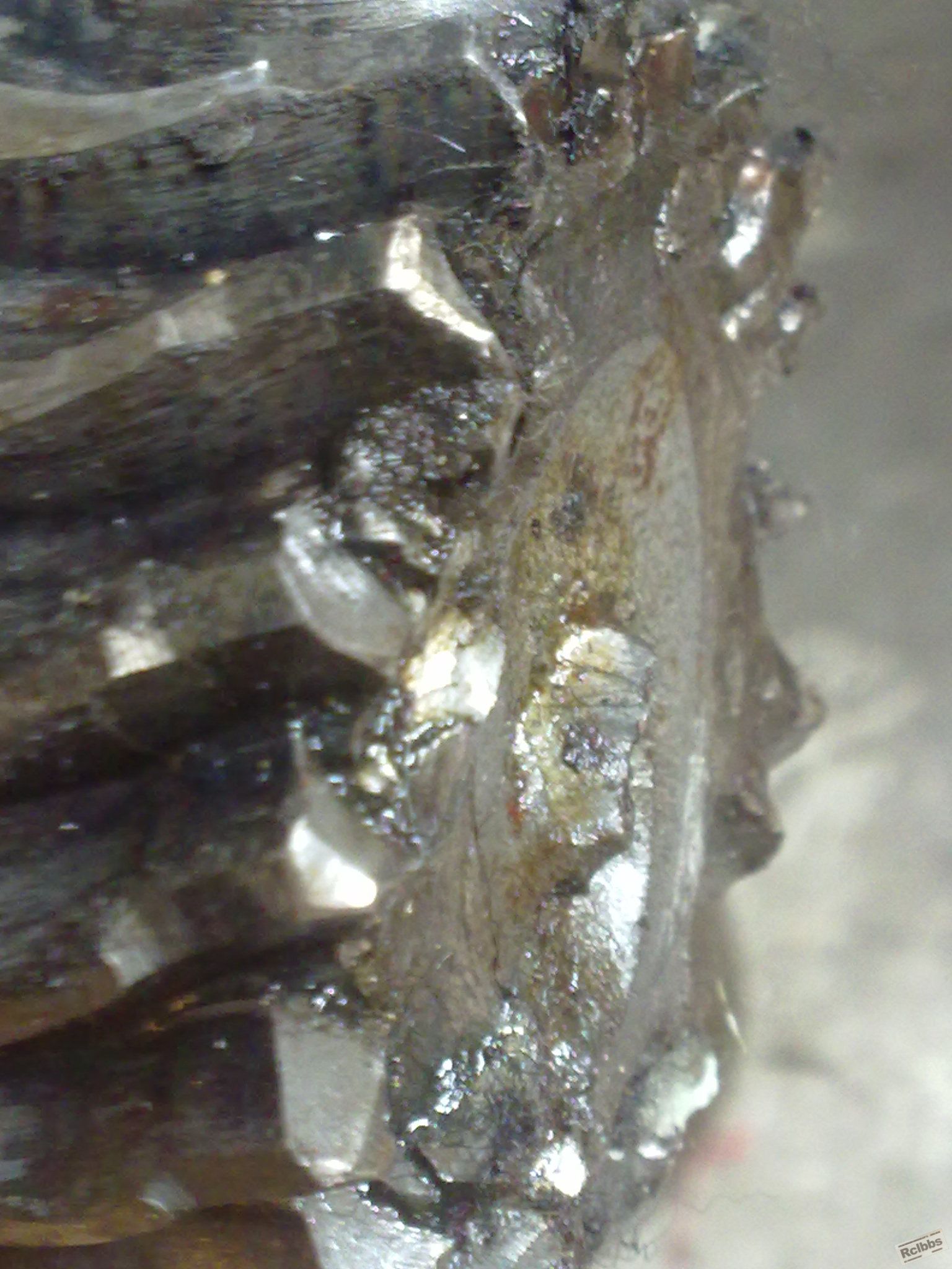 20110811046.jpg
