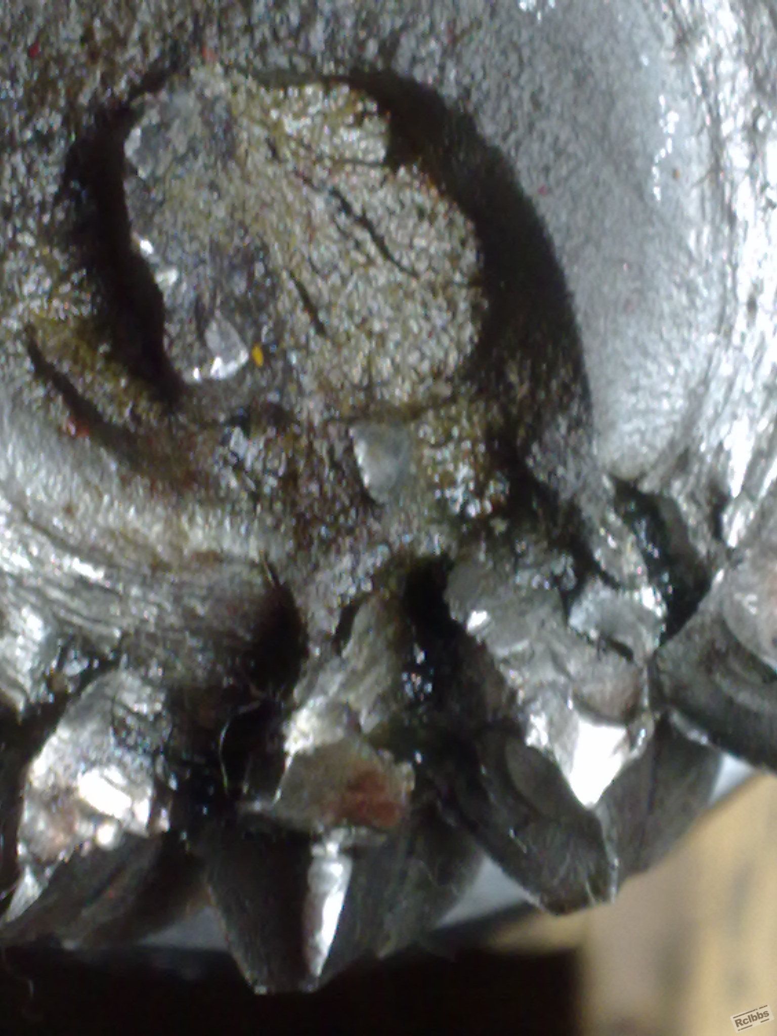 20110811064.jpg