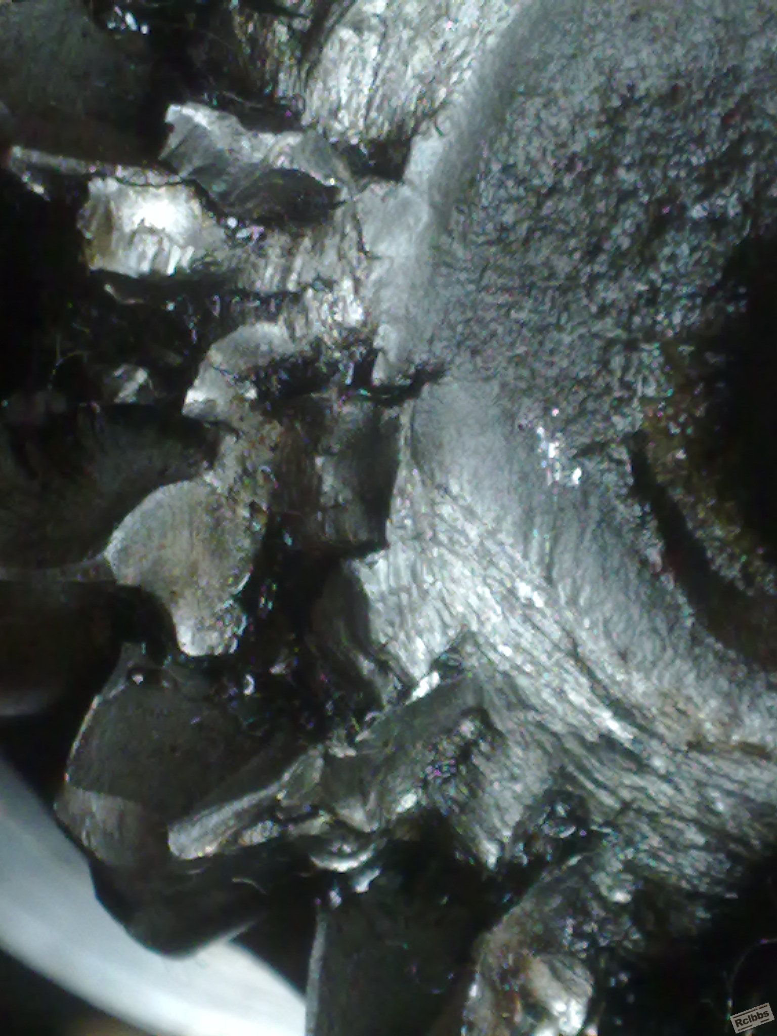 20110811065.jpg