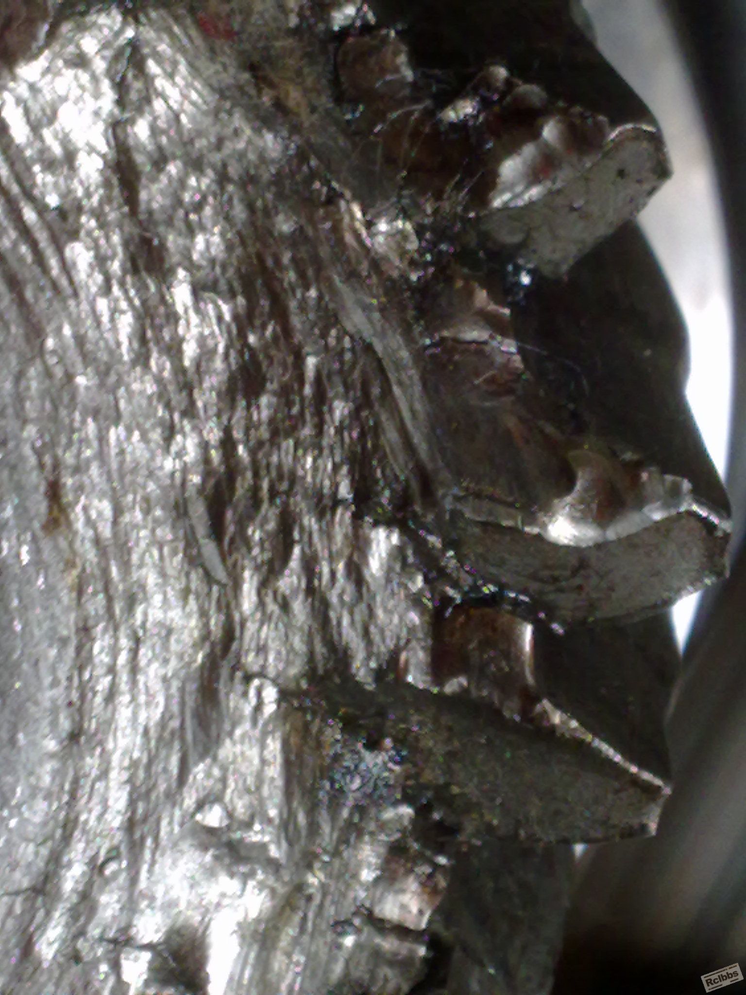 20110811066.jpg
