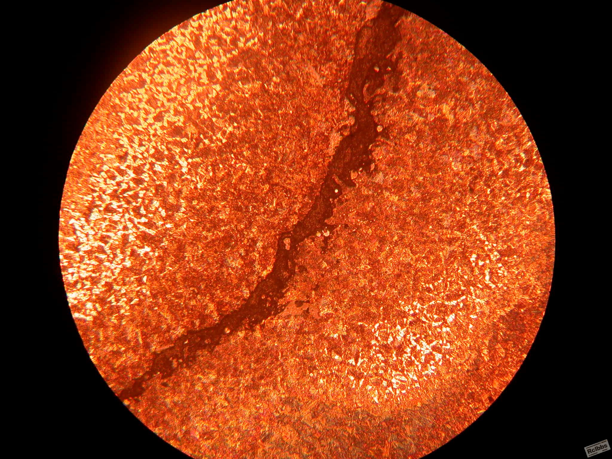 DSCN6454.JPG