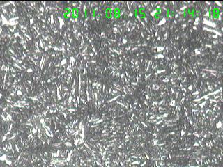815c.jpg
