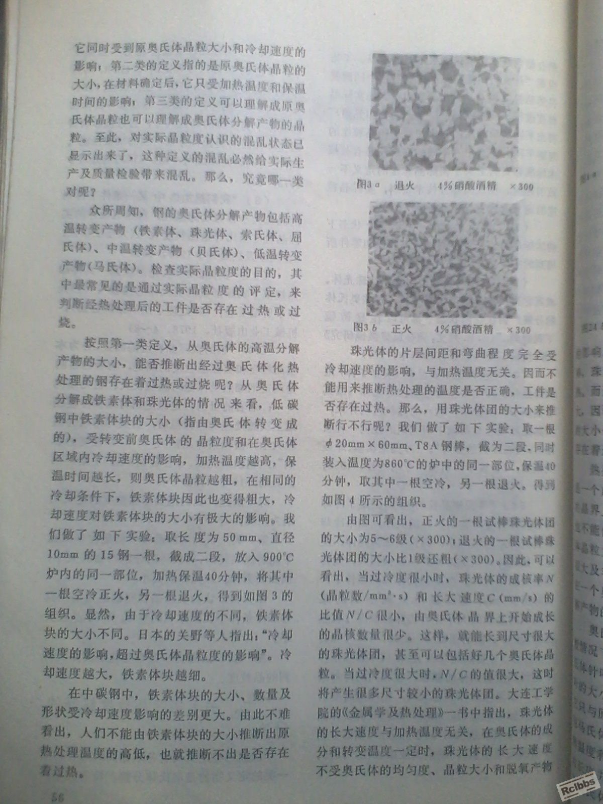IMG0456A.jpg