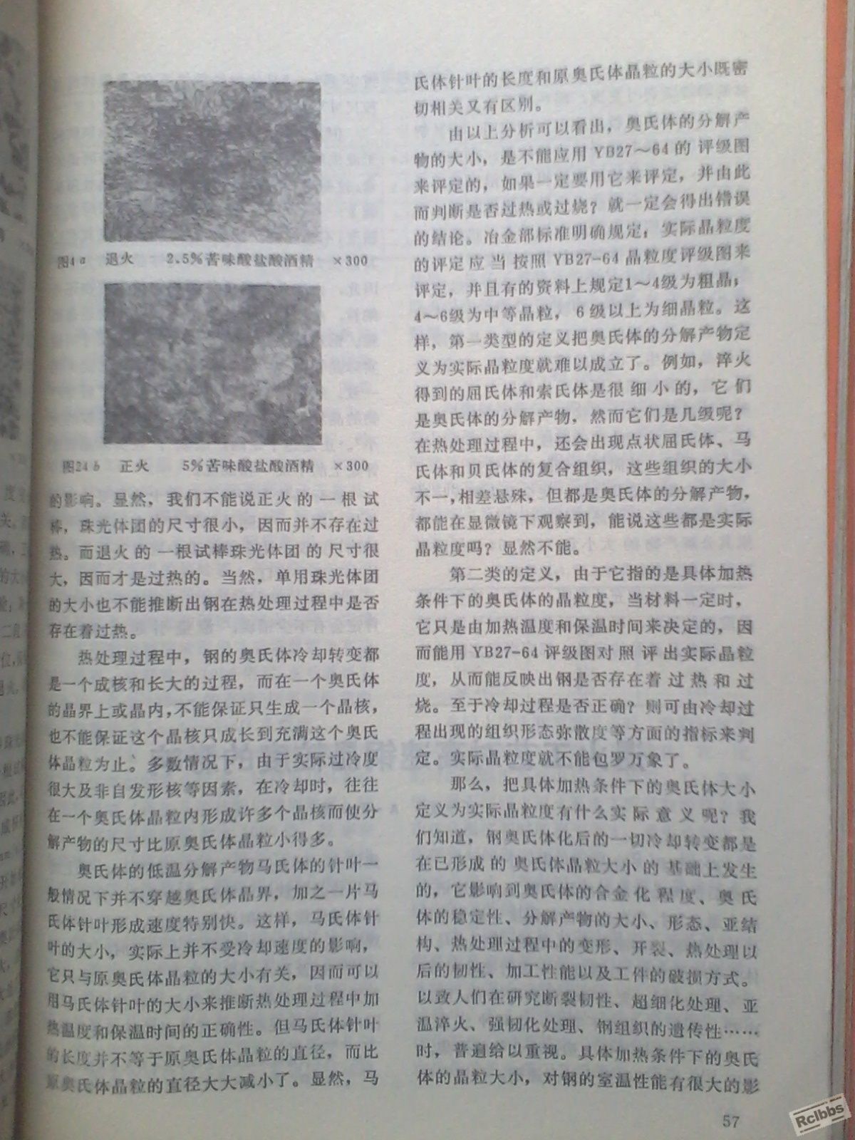 IMG0457A.jpg
