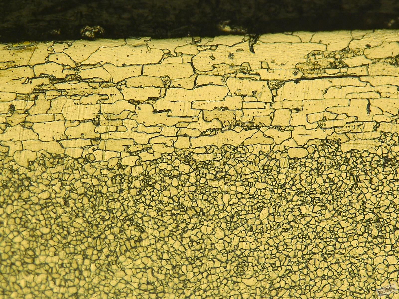新样品01×400.jpg