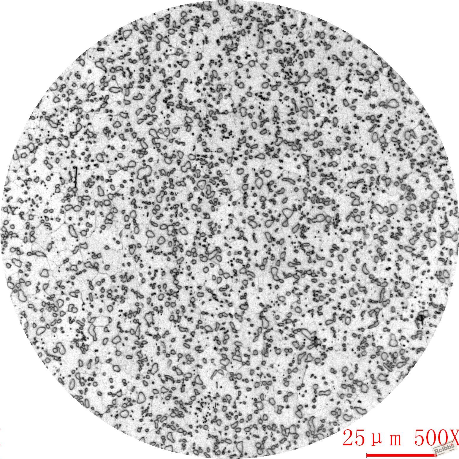 65Mn-2.JPG