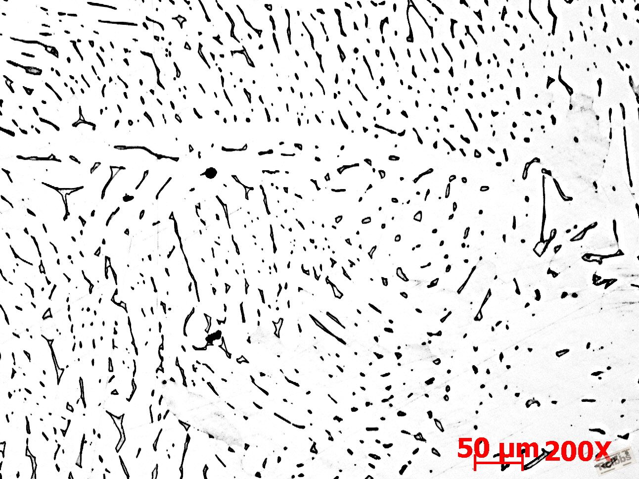 200X