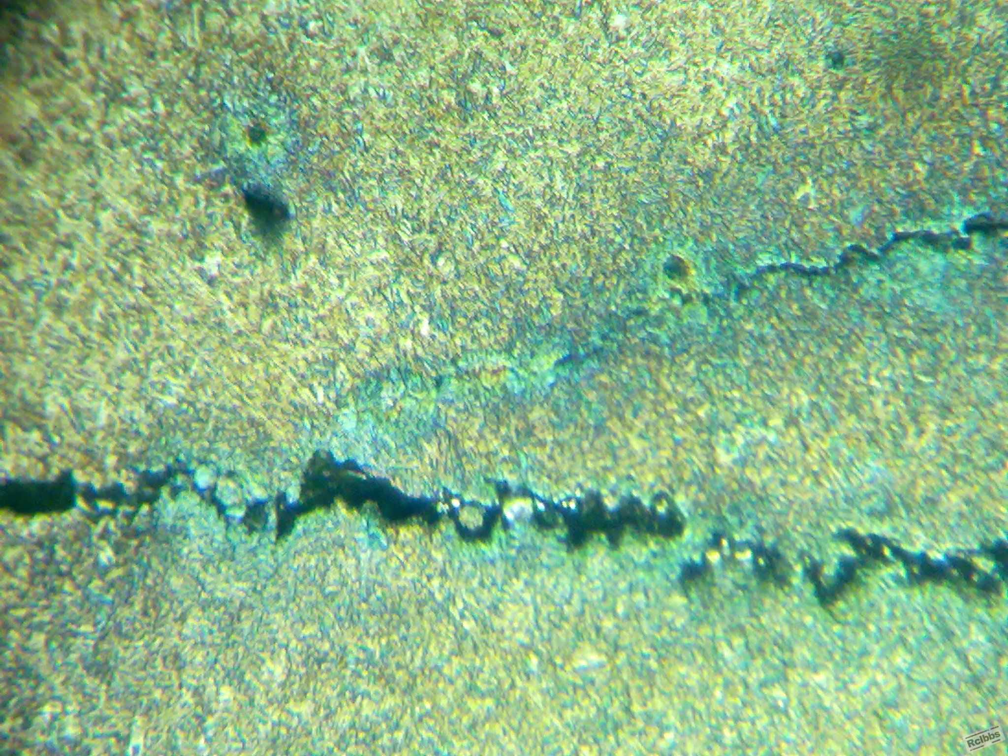 20110901148.jpg