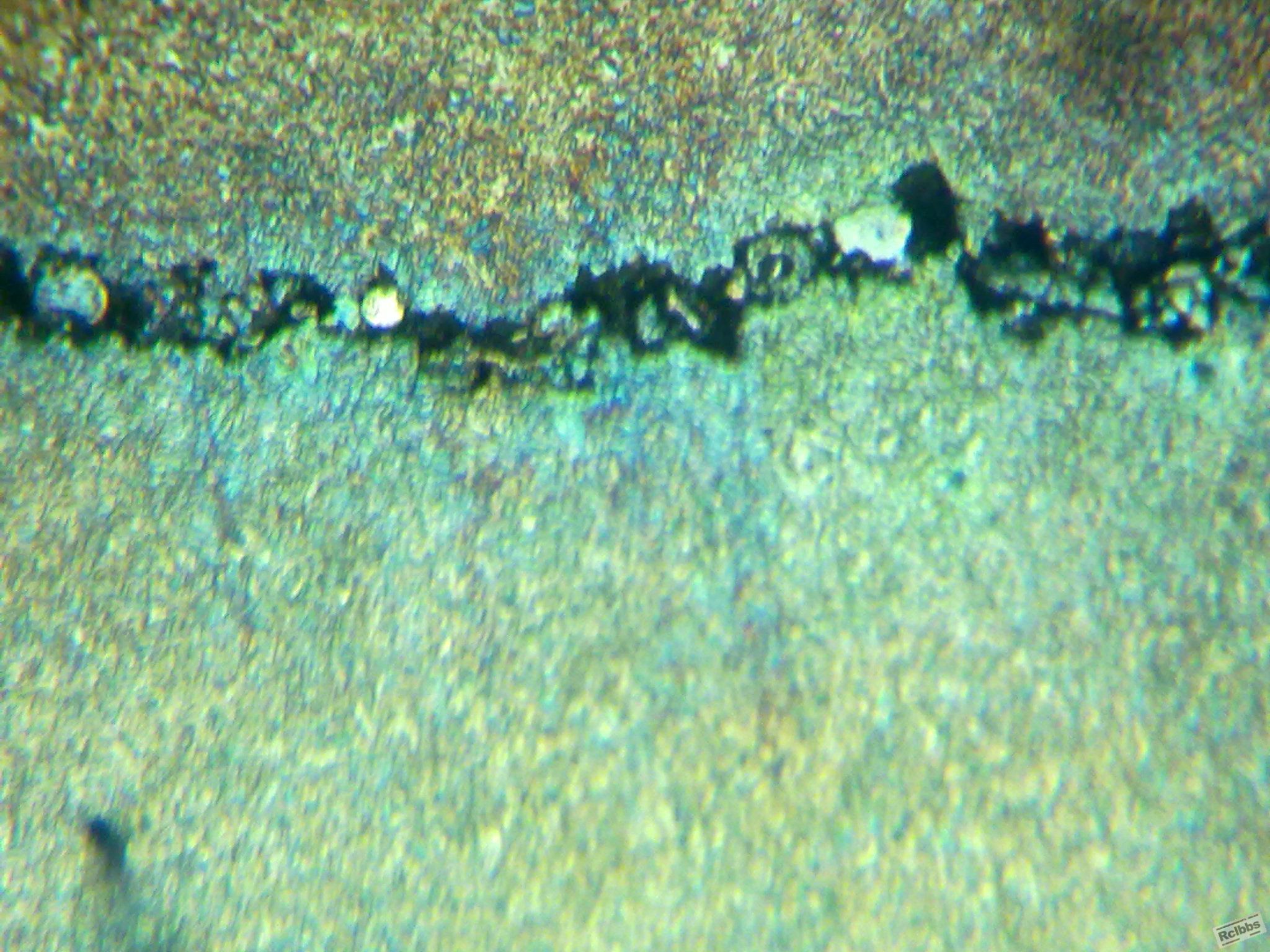 20110901149.jpg