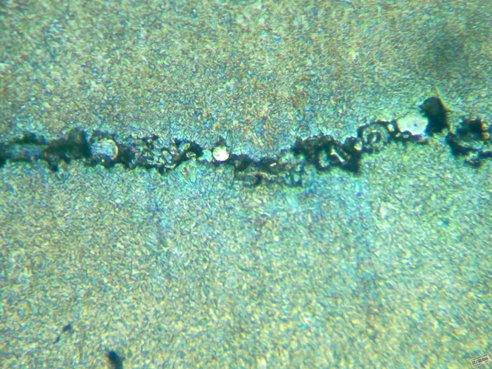 20110901152.jpg