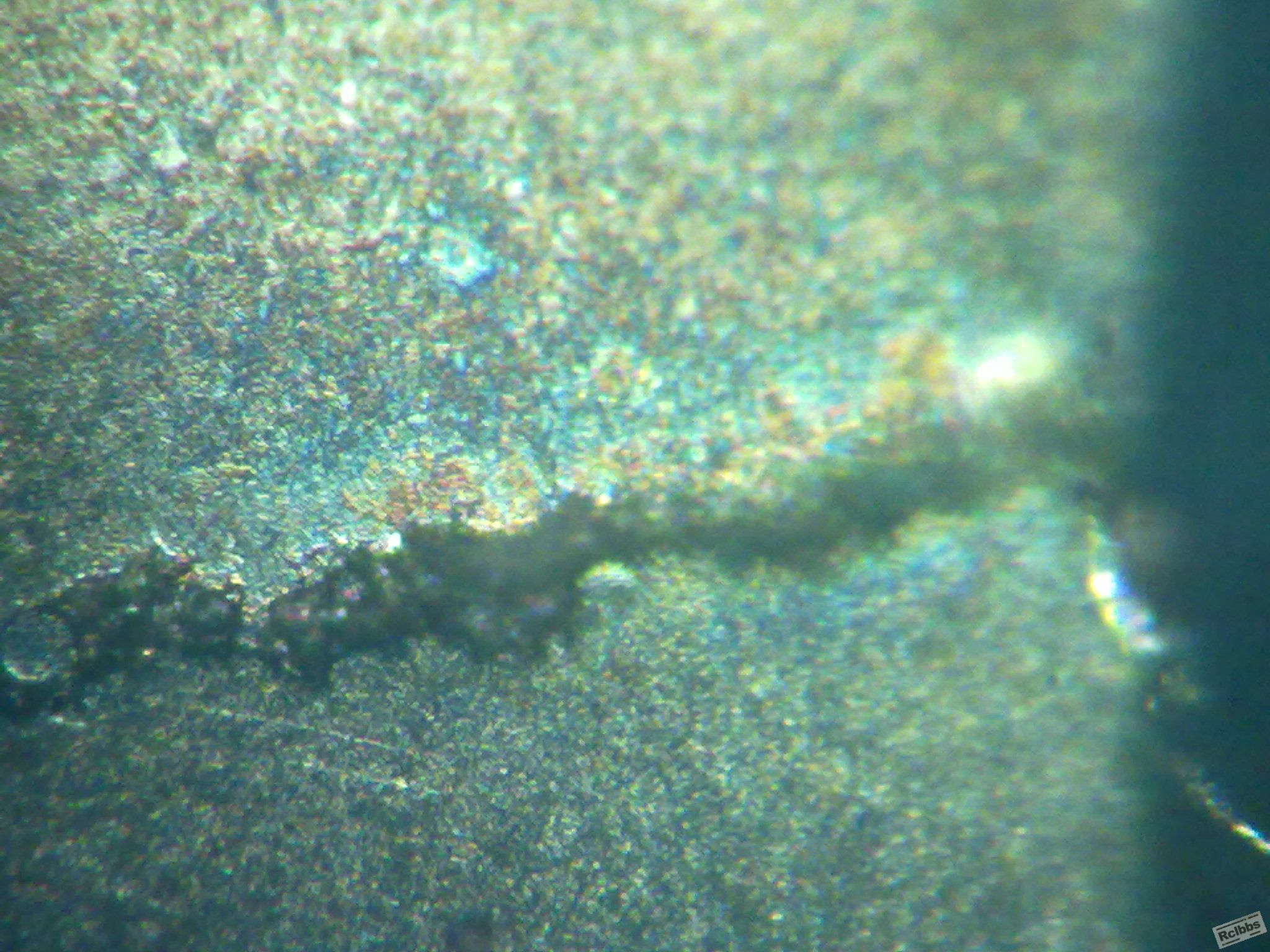 20110901154.jpg