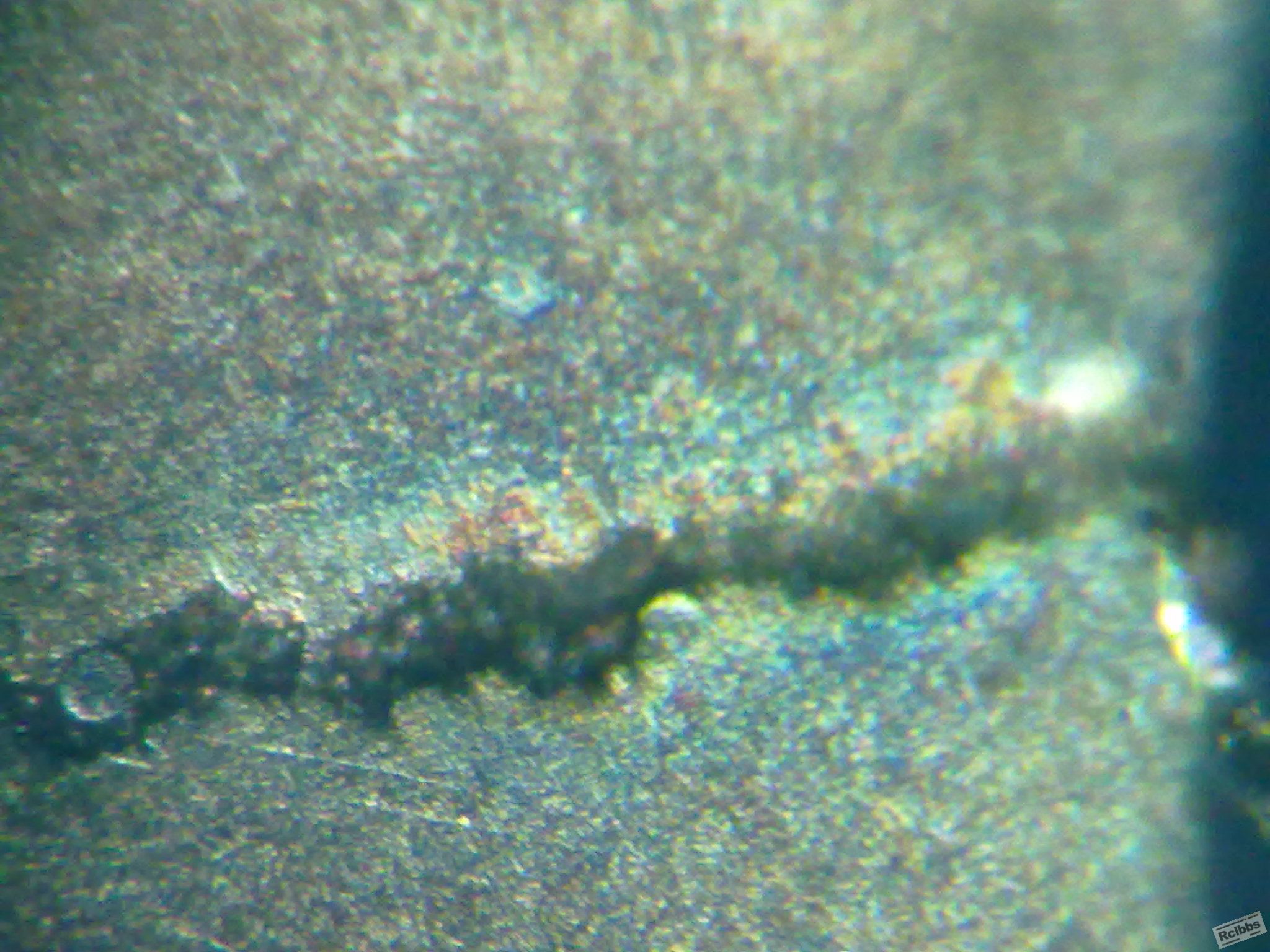 20110901155.jpg