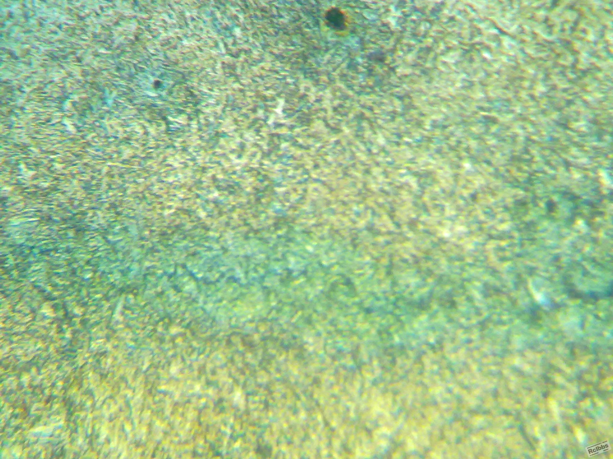 20110901160.jpg