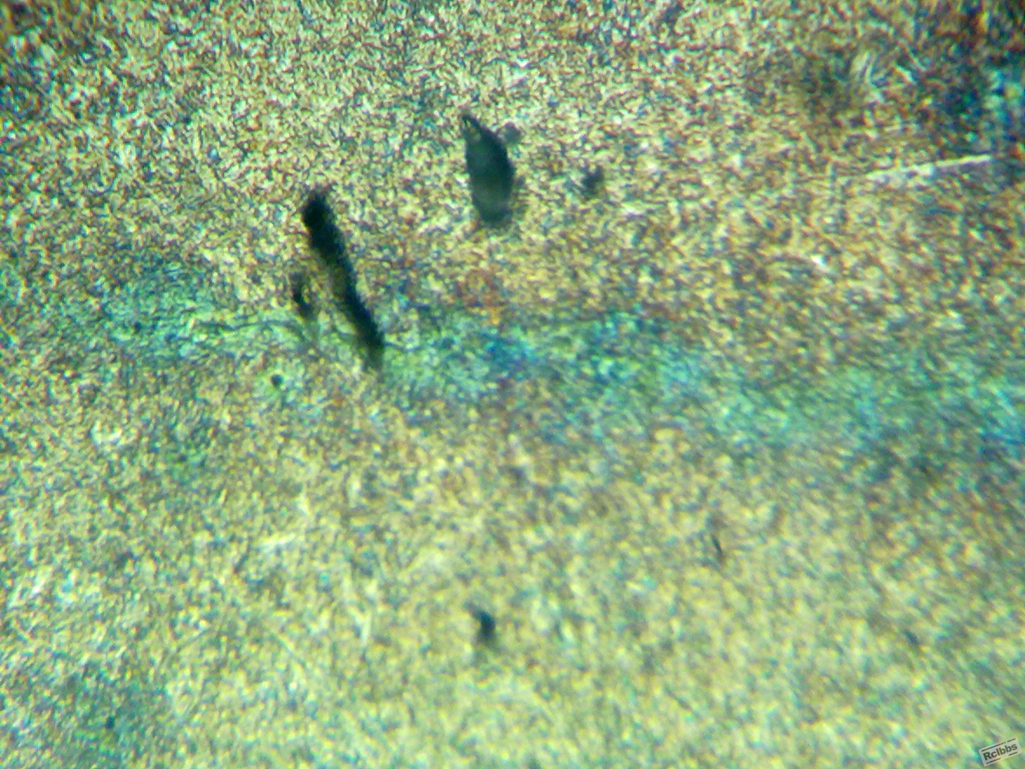 20110901165.jpg
