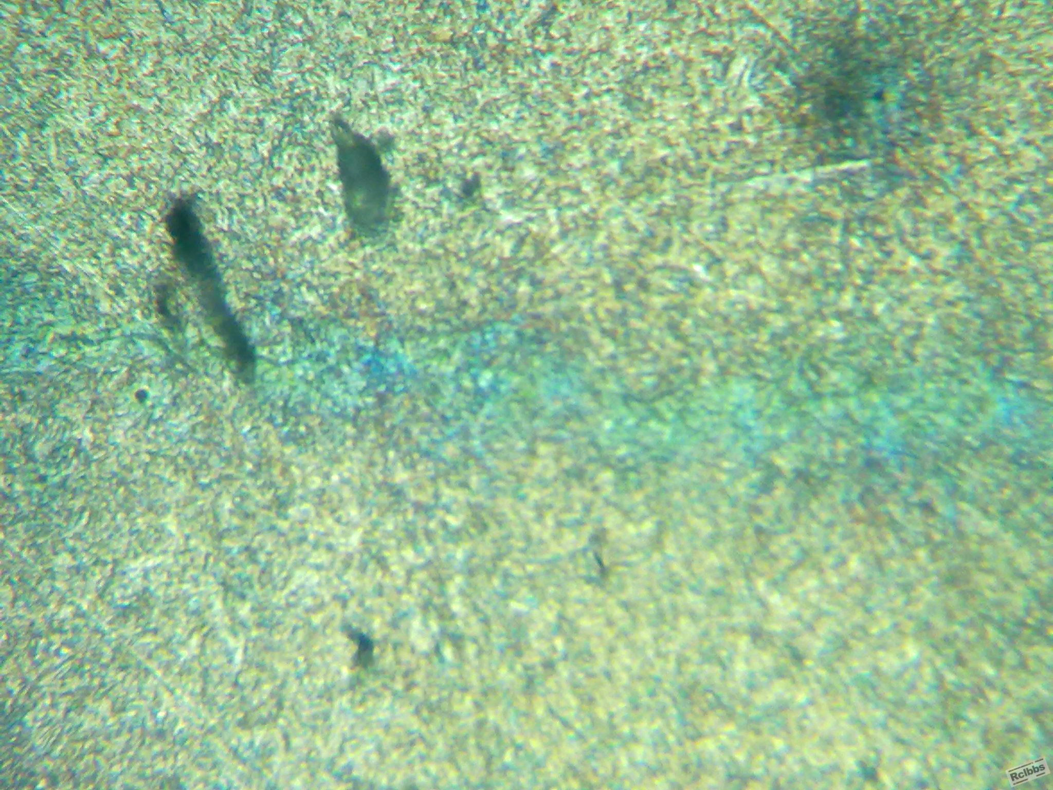 20110901166.jpg