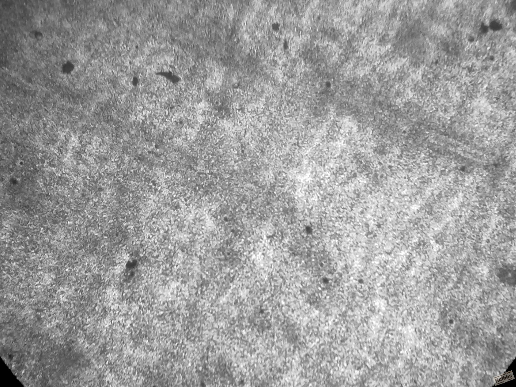 20110902186.jpg