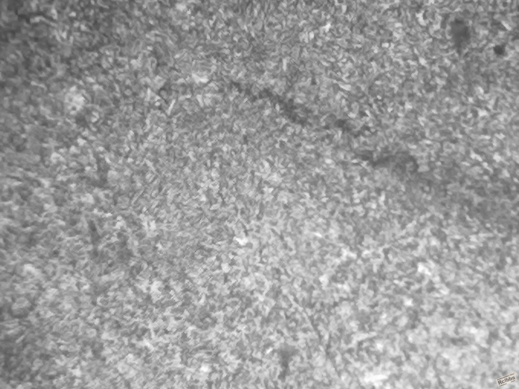 20110902193.jpg