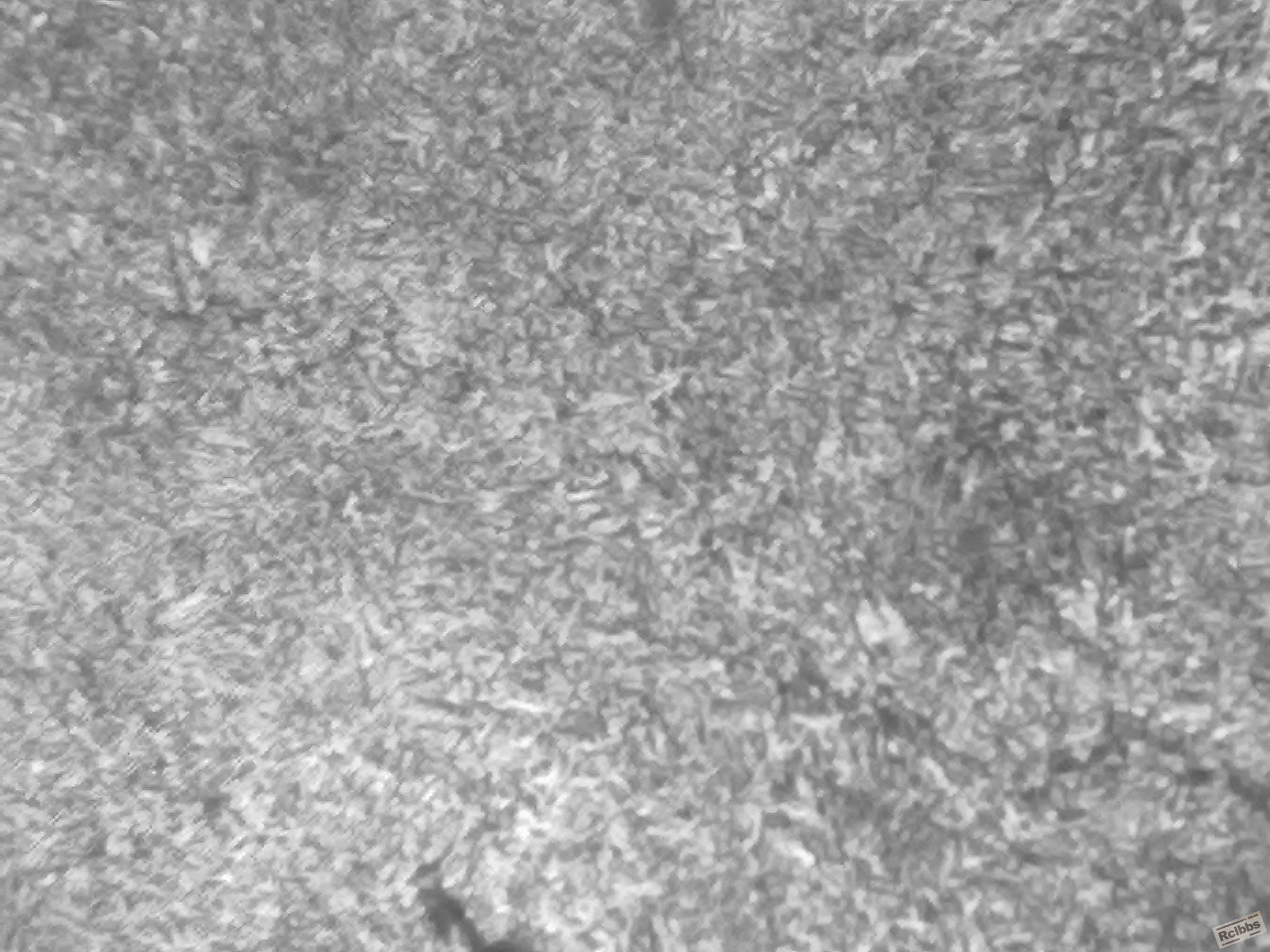 20110902194.jpg