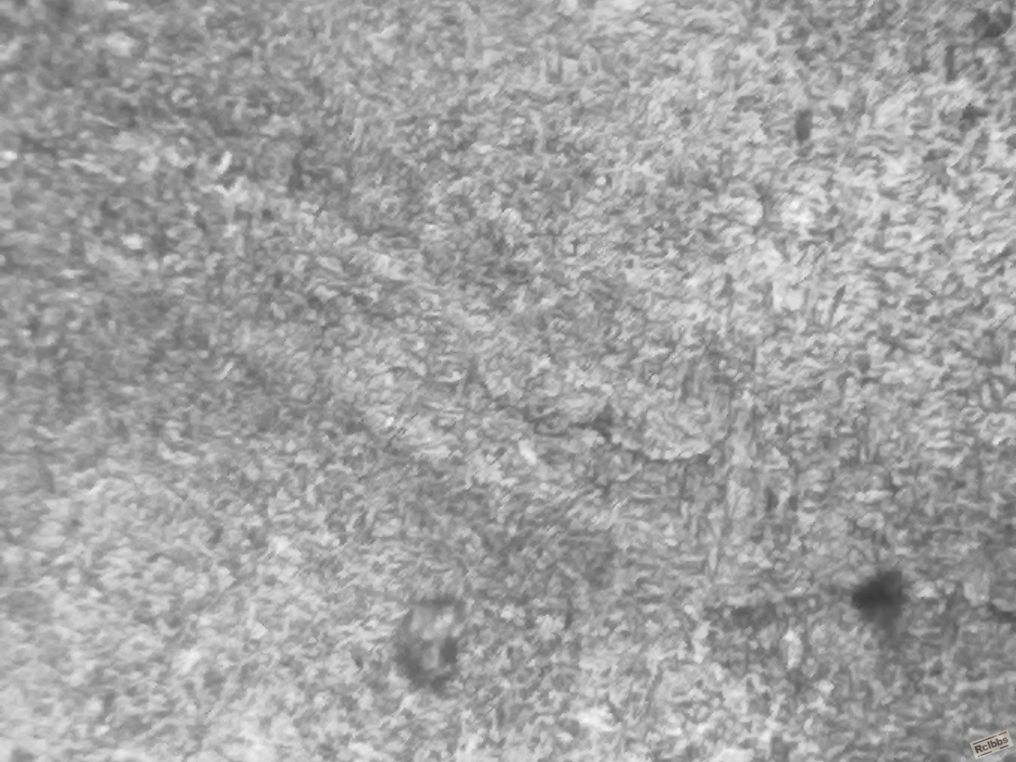 20110902195.jpg
