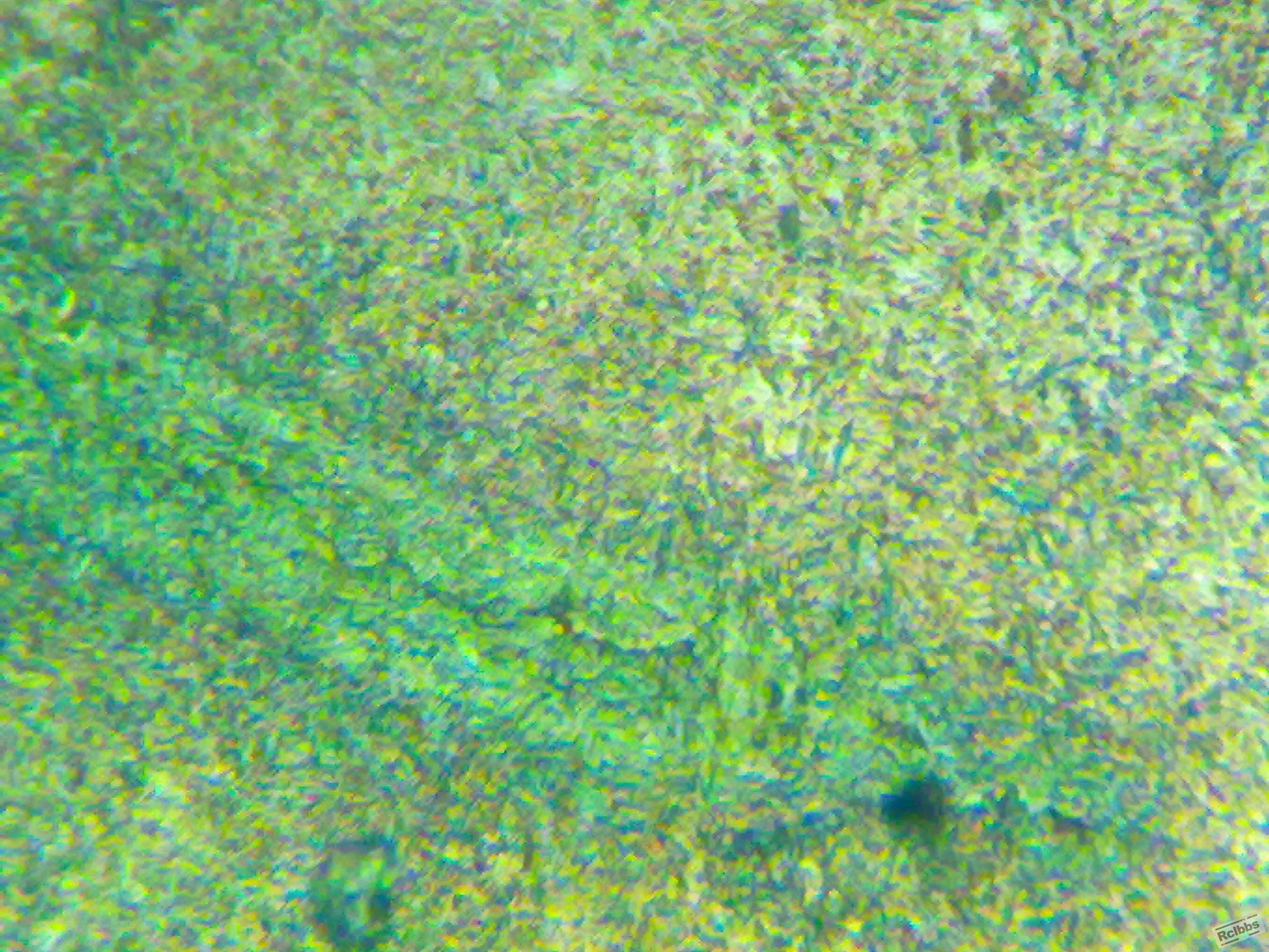 20110902196.jpg
