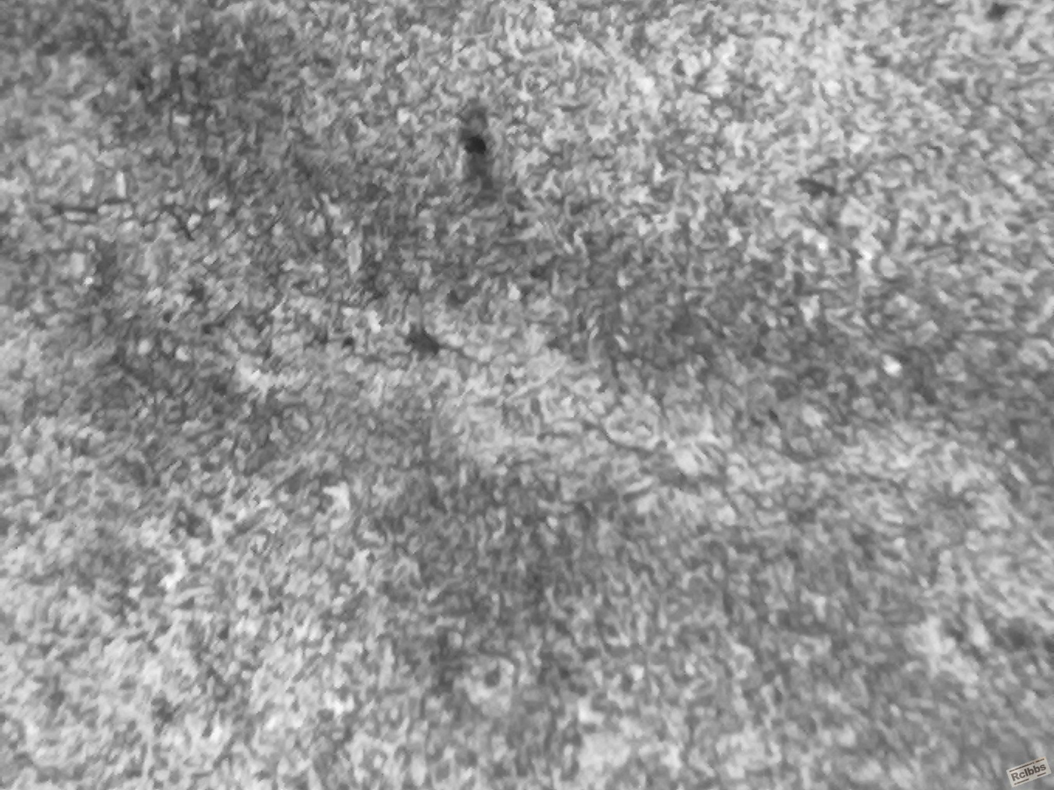 20110902218.jpg