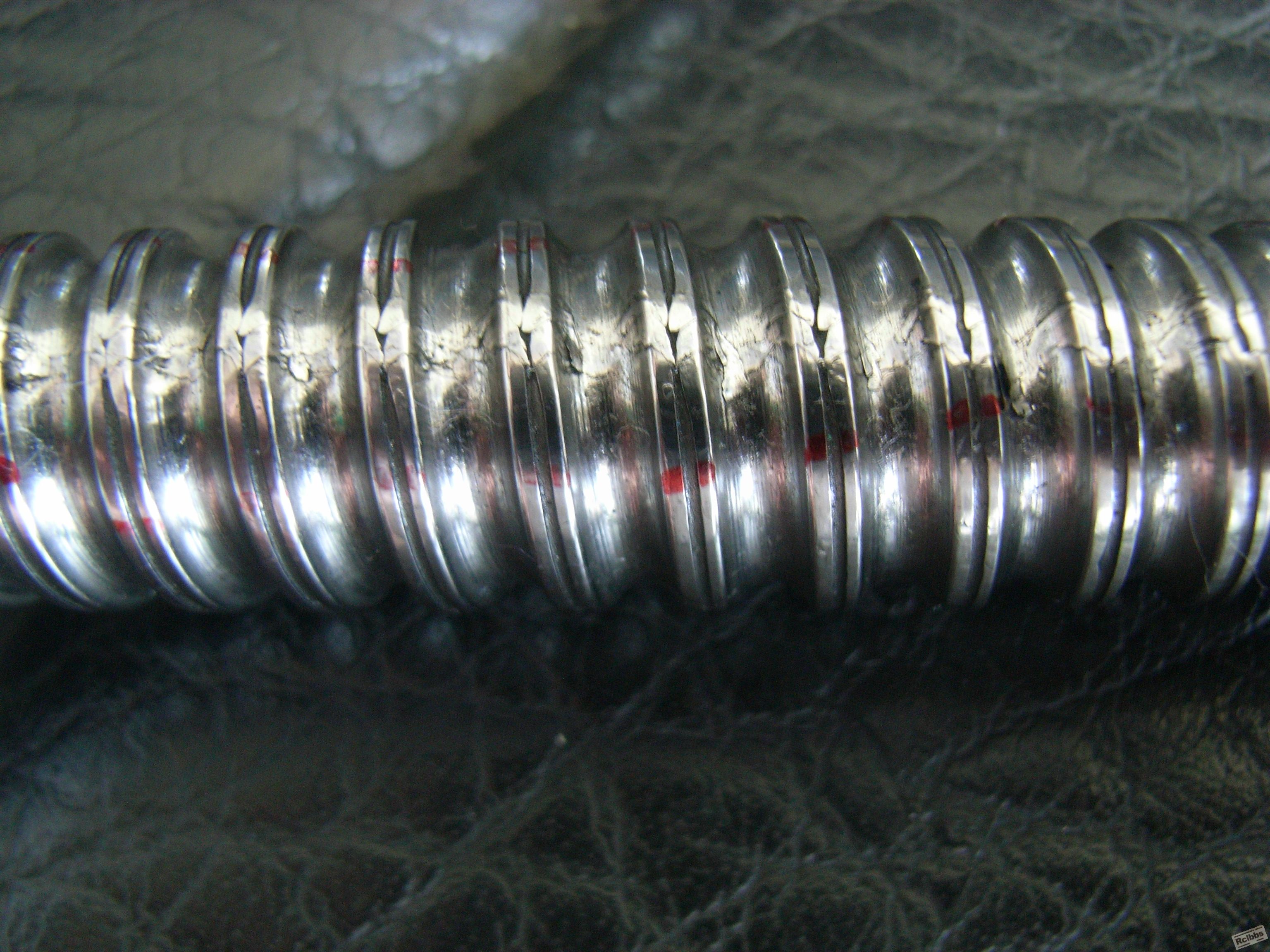 RIMG0122.JPG