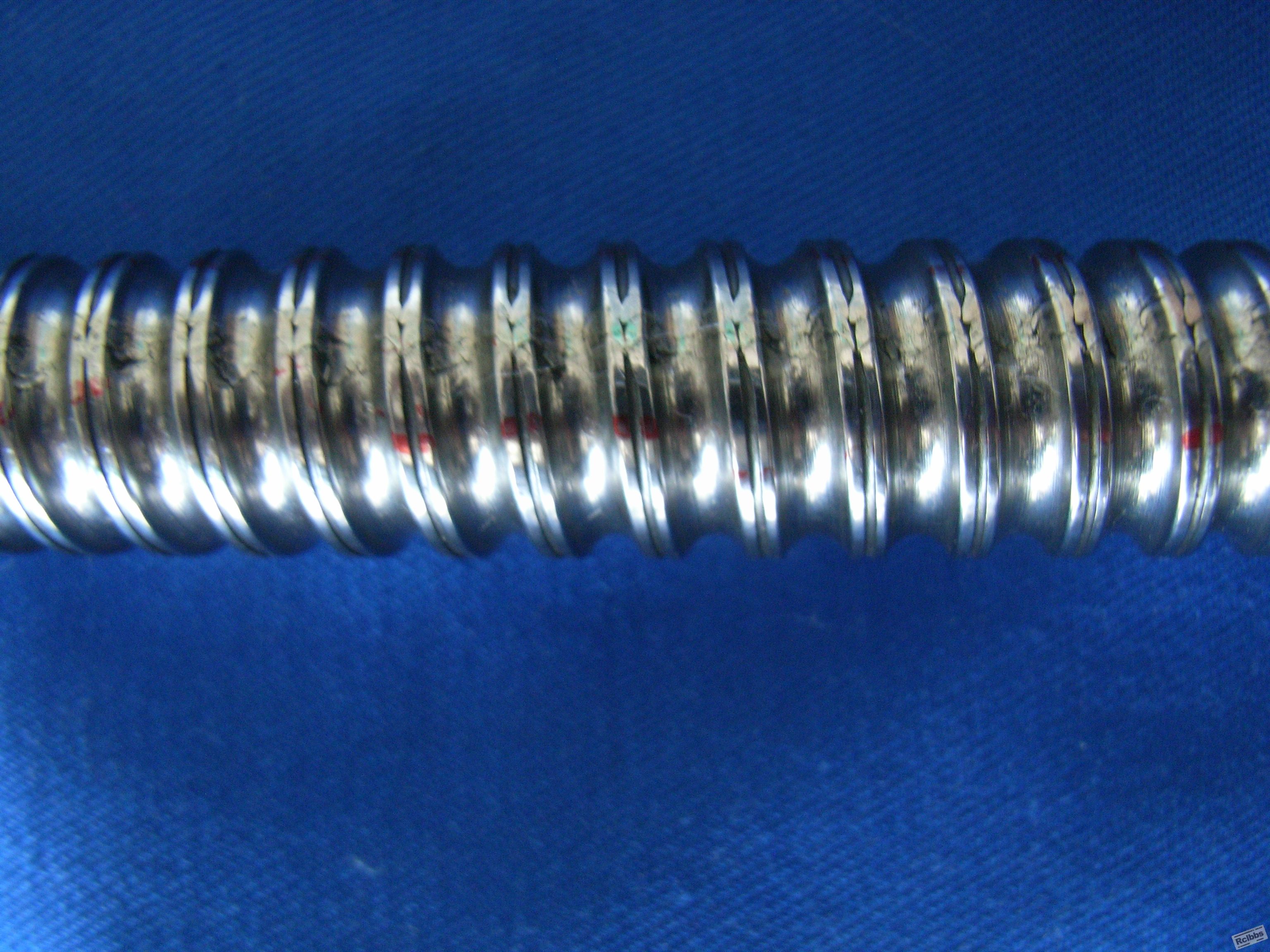 RIMG0123.JPG