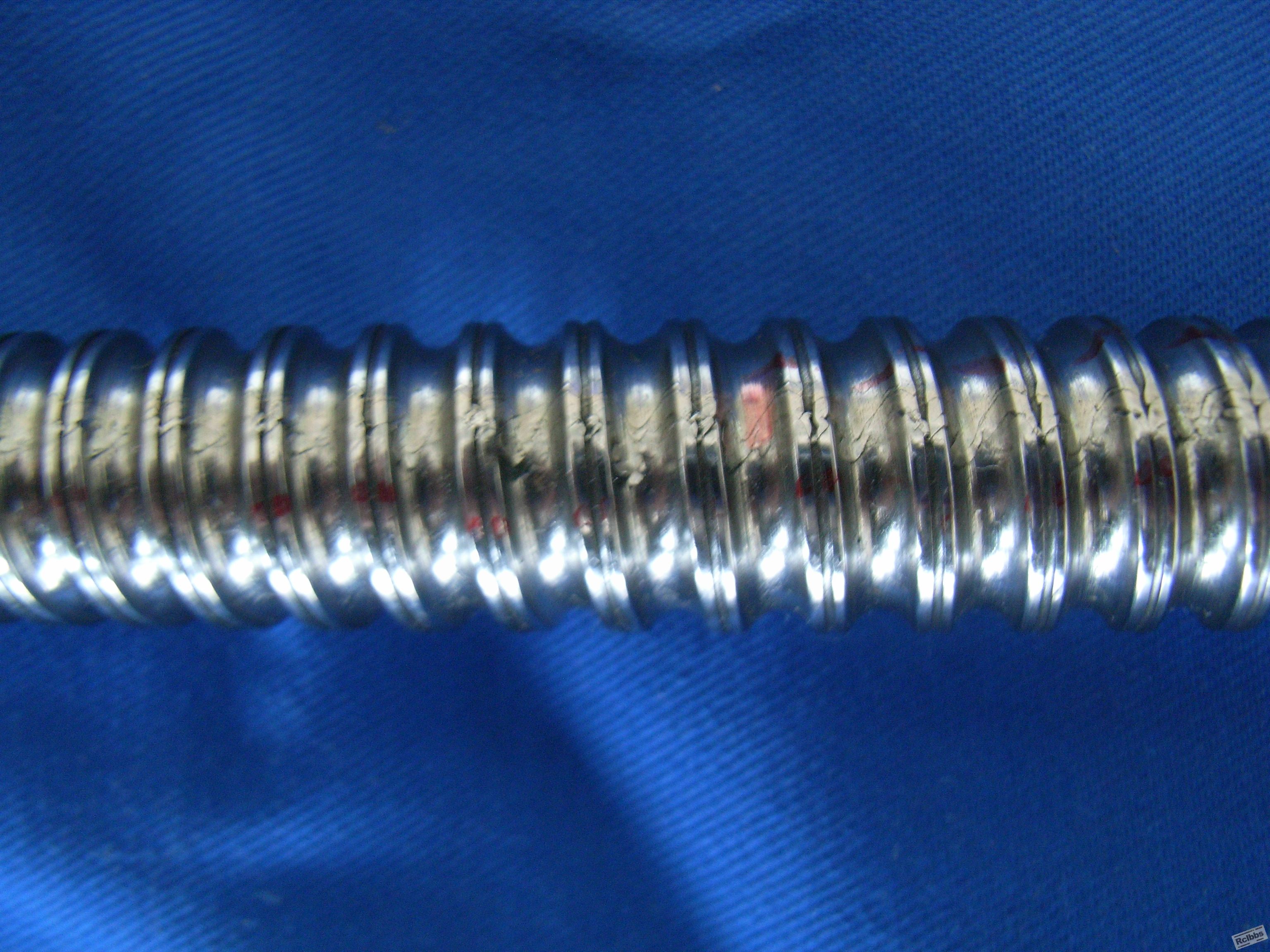 RIMG0124.JPG