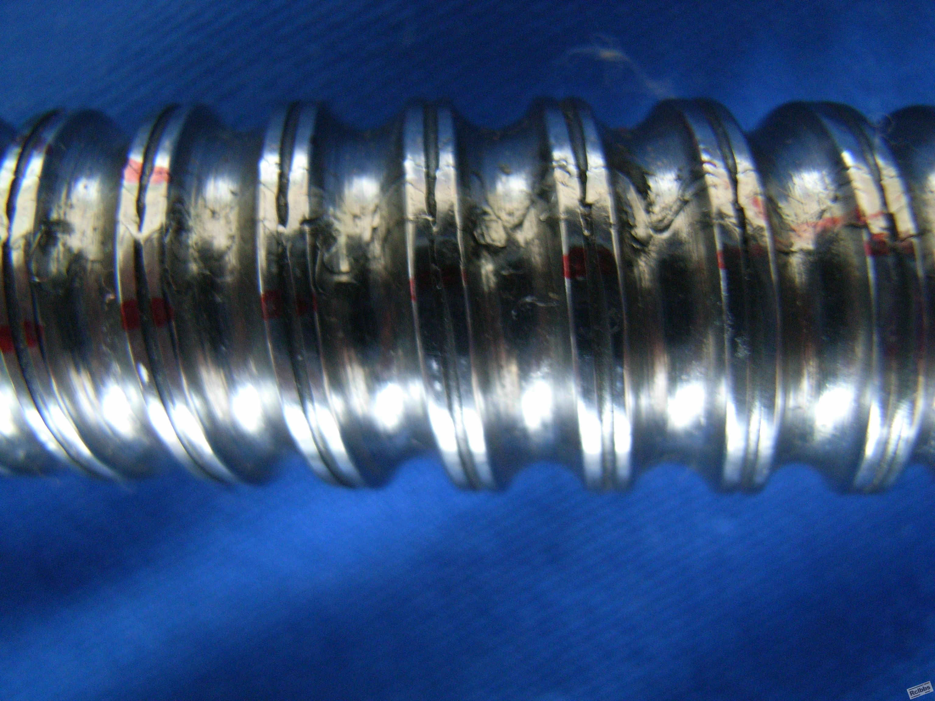 RIMG0125.JPG
