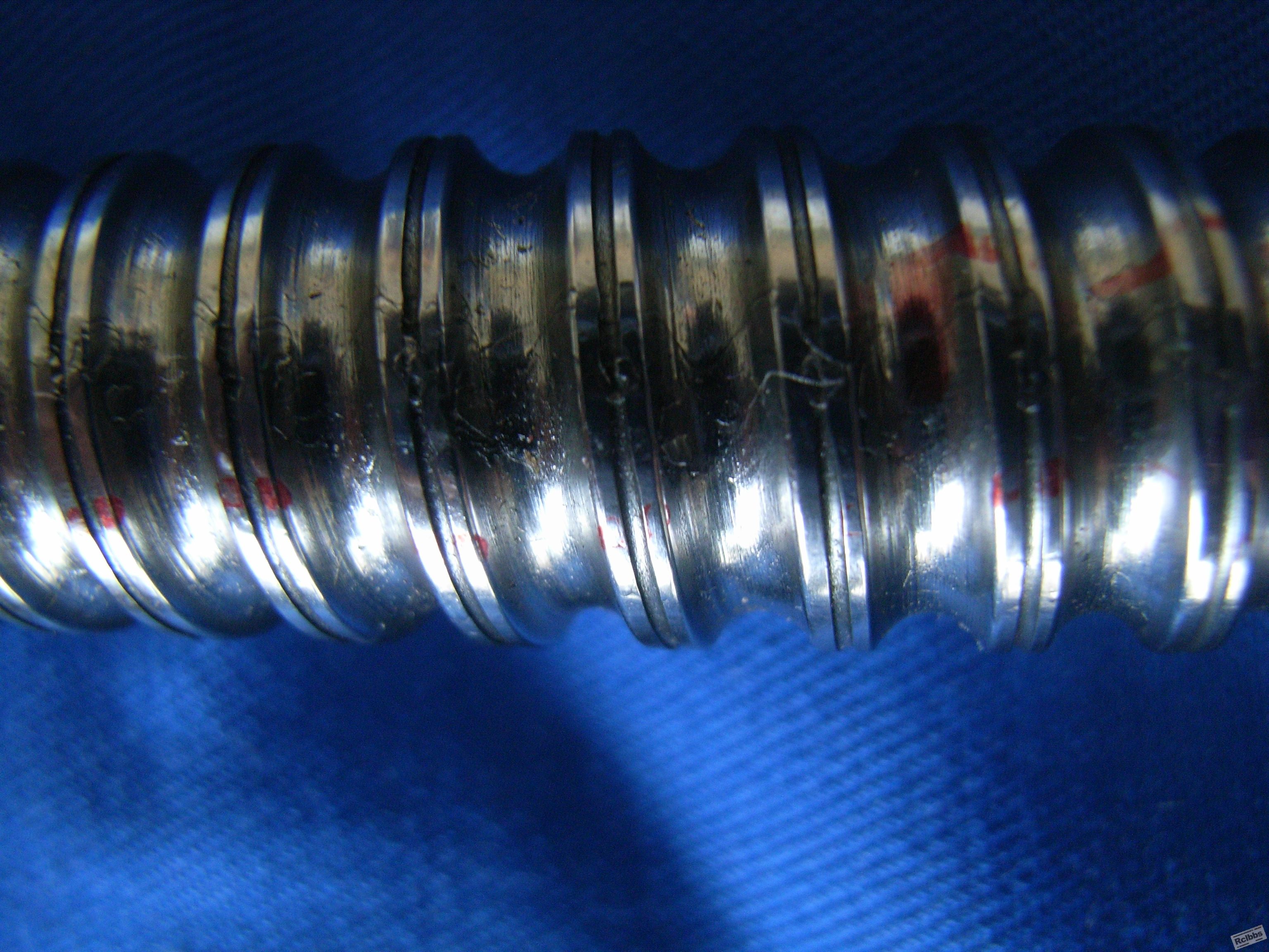 RIMG0126.JPG