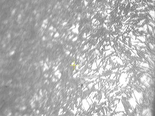 2011090410.JPG