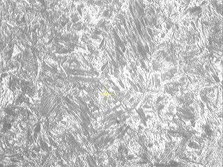 2011090412.JPG