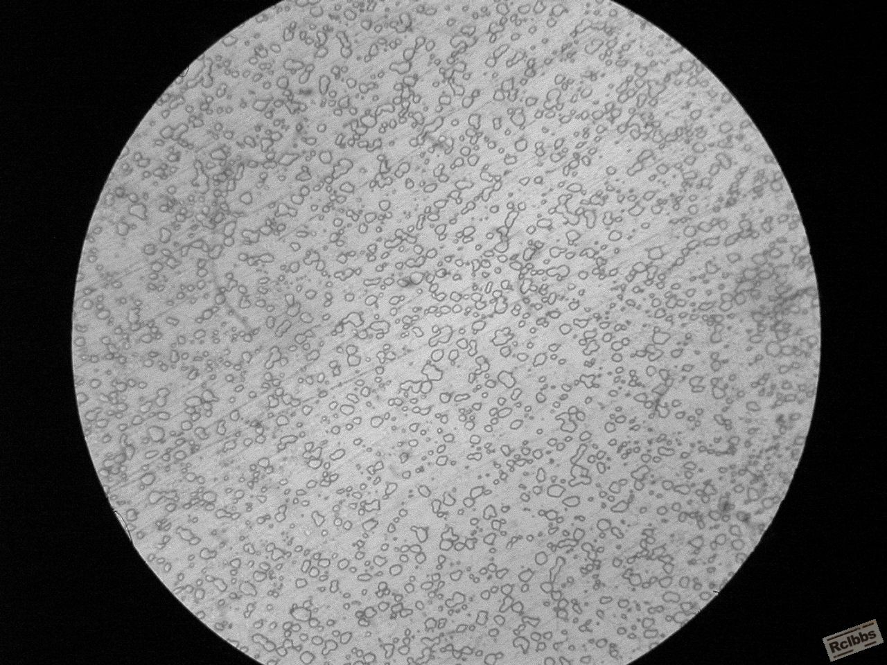 72Nbv(2).JPG